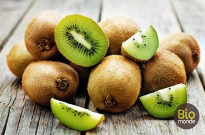 Kiwi Vert - Pièce Fruits