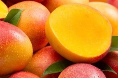 Mangue - Pièce Fruits