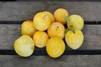 Prune Jaune - 500G Fruits
