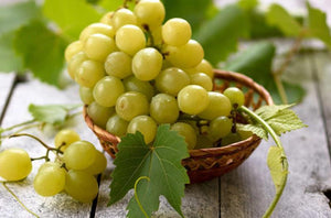 Raisin Italia - 500G Fruits