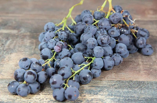 Raisin Noir - 500G Fruits