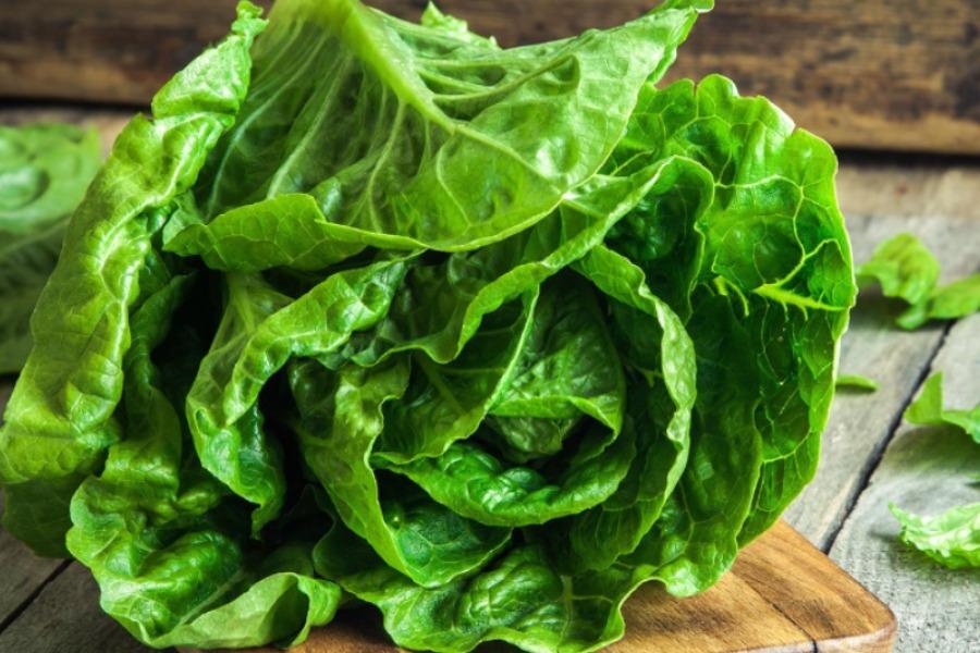 Salade Laitue - La Pièce Légumes