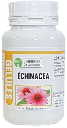 ÉCHINACÉA