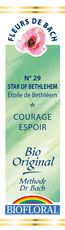 FLEUR DE BACH N°29 - STAR OF BETHLEEM
