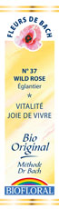 FLEUR DE BACH N°37 - WILD ROSE