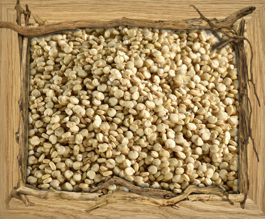 Quinoa - 500G Céréales & Graines Vrac
