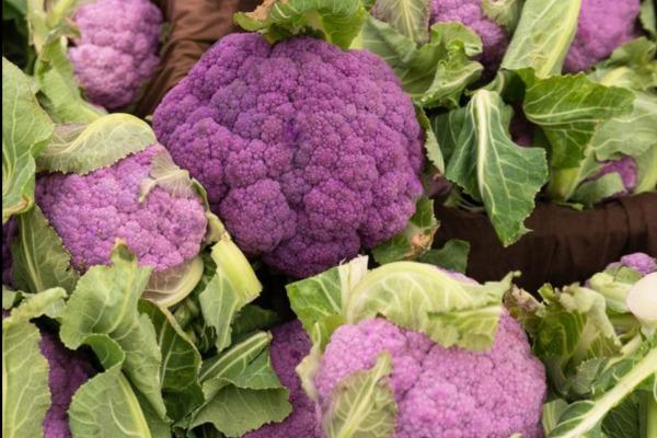 Chou Fleur Violet - La Pièce Légumes