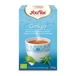 INFUSION AYURVEDIQUE GINKGO