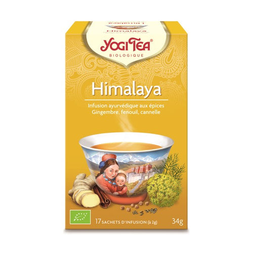 INFUSION AYURVEDIQUE HIMALAYA